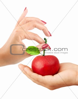 Girl gives the man an apple