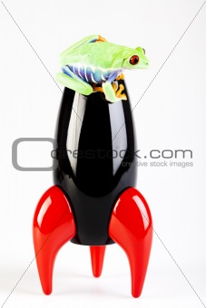 Spaceship in frog