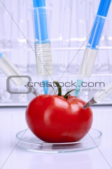 Genetic Food Modifications
