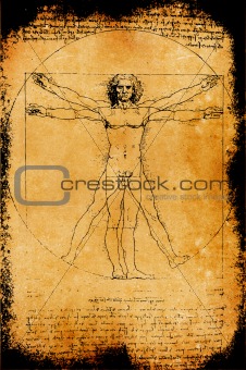 Photo of the Vitruvian Man