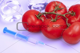 Genetic Food Modifications
