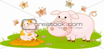 Pigs on the meadow 
