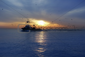 professional fishing boat seagull on sunset sunrise