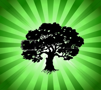 Vector Tree with green burst background