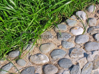Background of pebble and grass