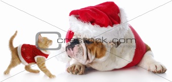 christmas cat and dog