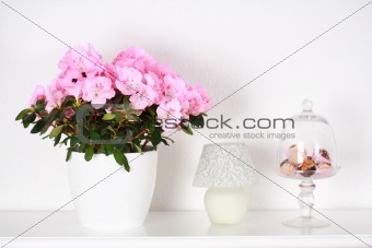 Flowers in interior