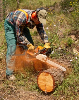 Lumberjack in action