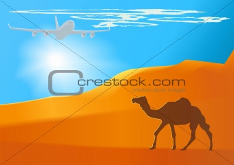 Vector desert,camel,jet.