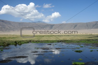 Watering Hole - Ngorongoro Crater, Tanzania, Africa