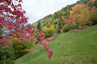 autumn mountain 