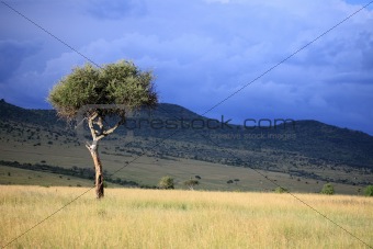 The Great Rift Valley - Maasai Mara - Kenya