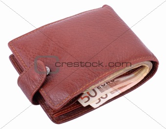 Wallet with euro isolated