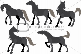Five silhouette frolicking horses