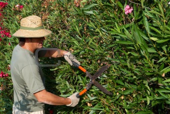 Gardener pruning