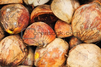 Coconut husks