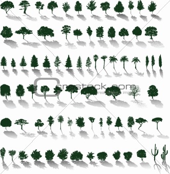 Vector trees - Silhouettes with shadows