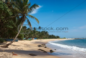 Idyllic beach. Sri Lanka