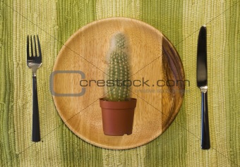 cactus on the plate