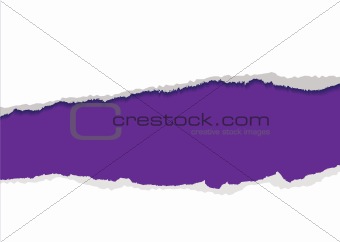purple torn strip background