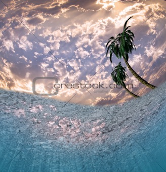 Underwater Scene with Palms