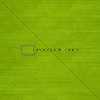 Grass green slatted background