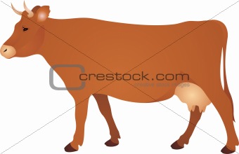 Cow vector 