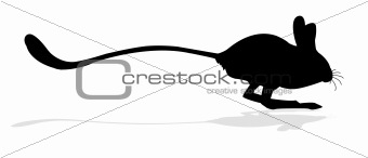 vector silhouettes of the jerboa  on white background