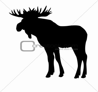 silhouette moose isolated on white background