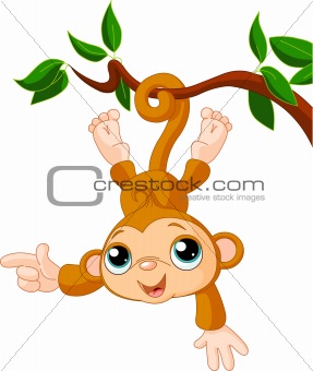 Baby monkey on a tree showing