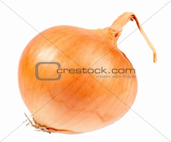 Single a orange fresh onion