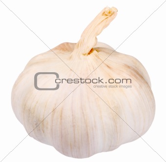 Single white garlic