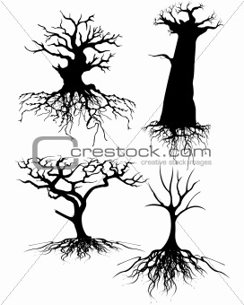 Four different Old tree Silhouettes with roots