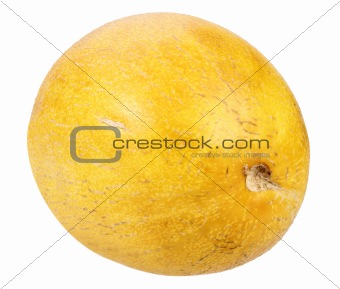 Single ripe yellow melon