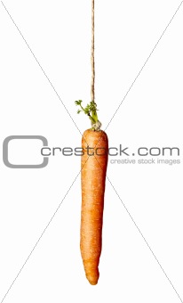 carrot rope food vegetable hanging