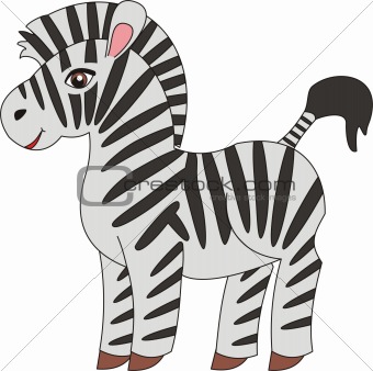 Zebra vector