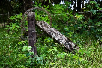 Rustic barbed wire fence in Costa Rica