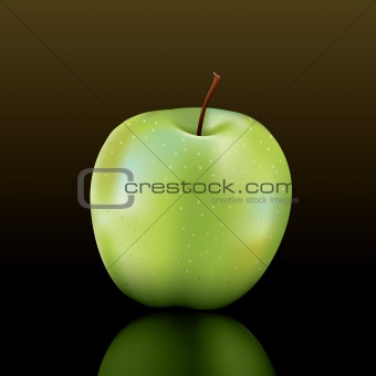 vector granny smith apple