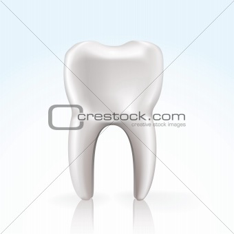 vector tooth