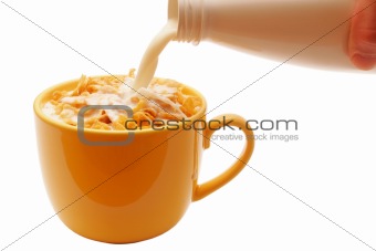 bowl of cereal with milk