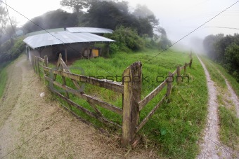Costa Rican dairy farm