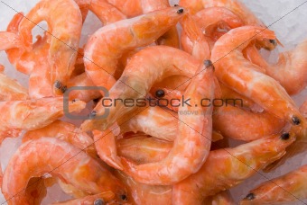  King shrimps closeup
