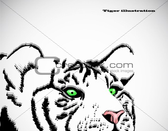 Image of tiger head with green eyes. Vector
