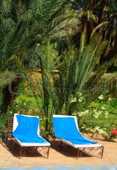 relaxation area in an exotic holiday resort  2