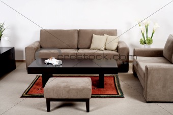 Modern living room with classic couch