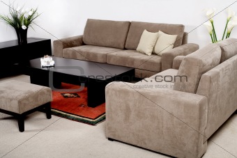 Classic furniture in a modern living room
