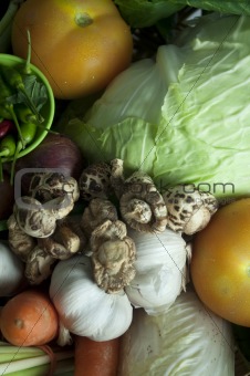 close up shot of vegetables