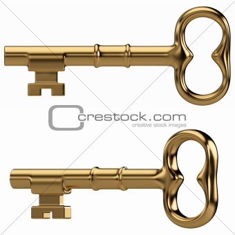 Gold key isolated