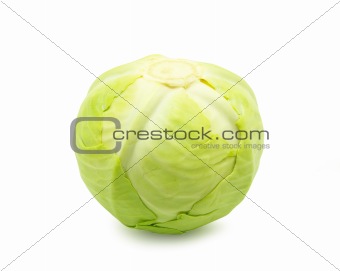  cabbage 