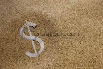 dollar in desert sand